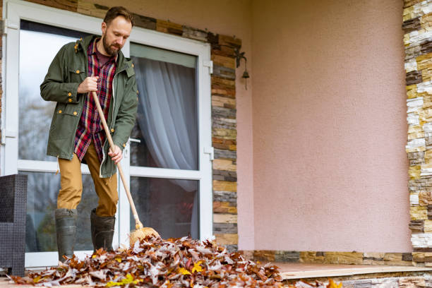 Professional Junk Removal in Ravenel, SC